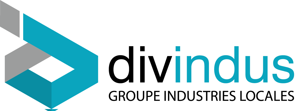 Logo DIVINDUS